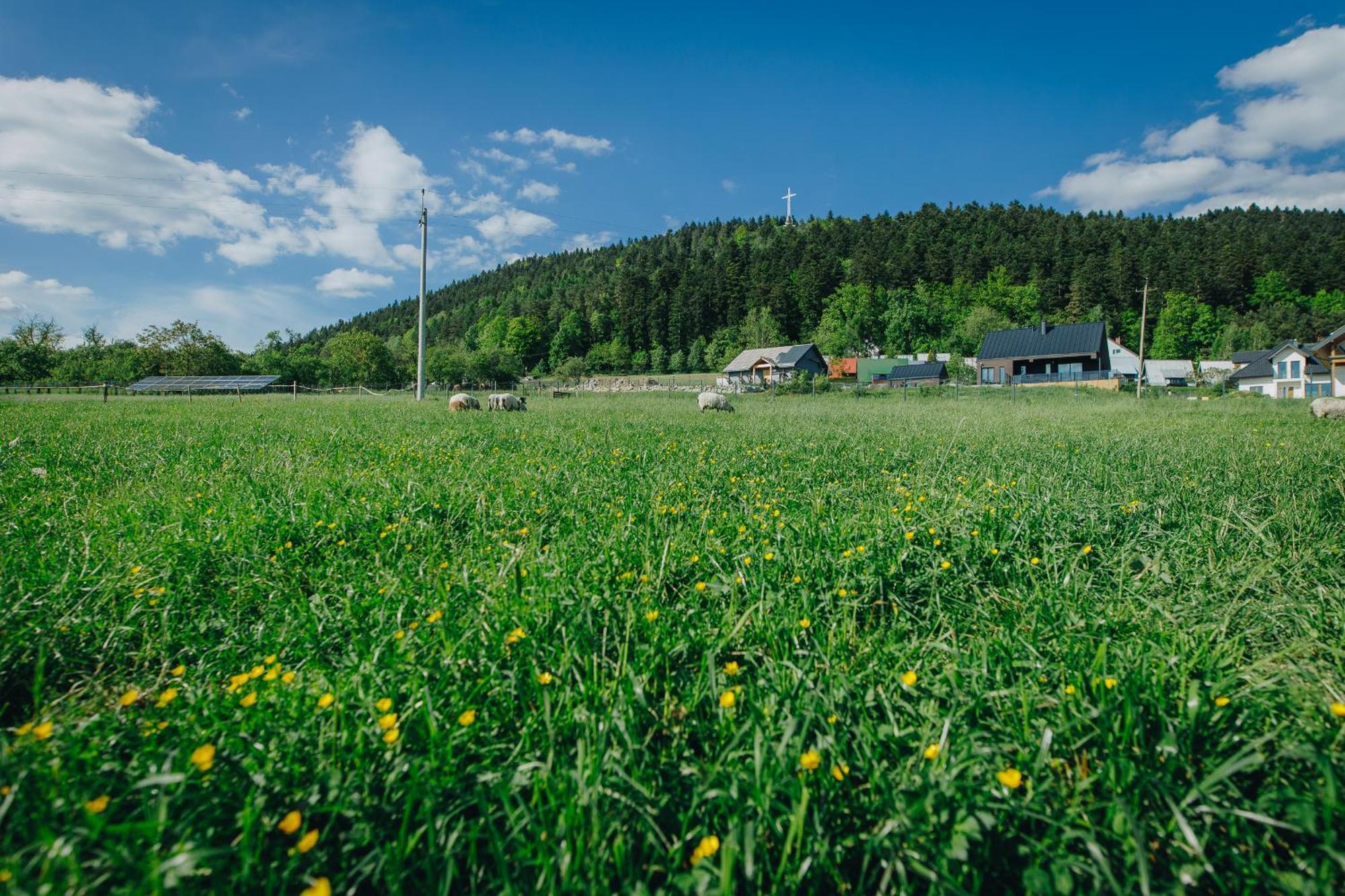 Apartamenty Lesna Limanowa Exterior foto